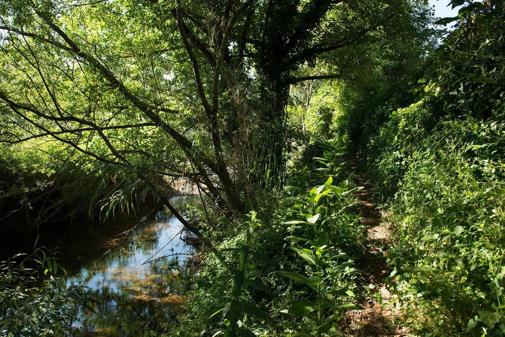 Recanto Da Ribeira Casas De Campo Monchique Zewnętrze zdjęcie