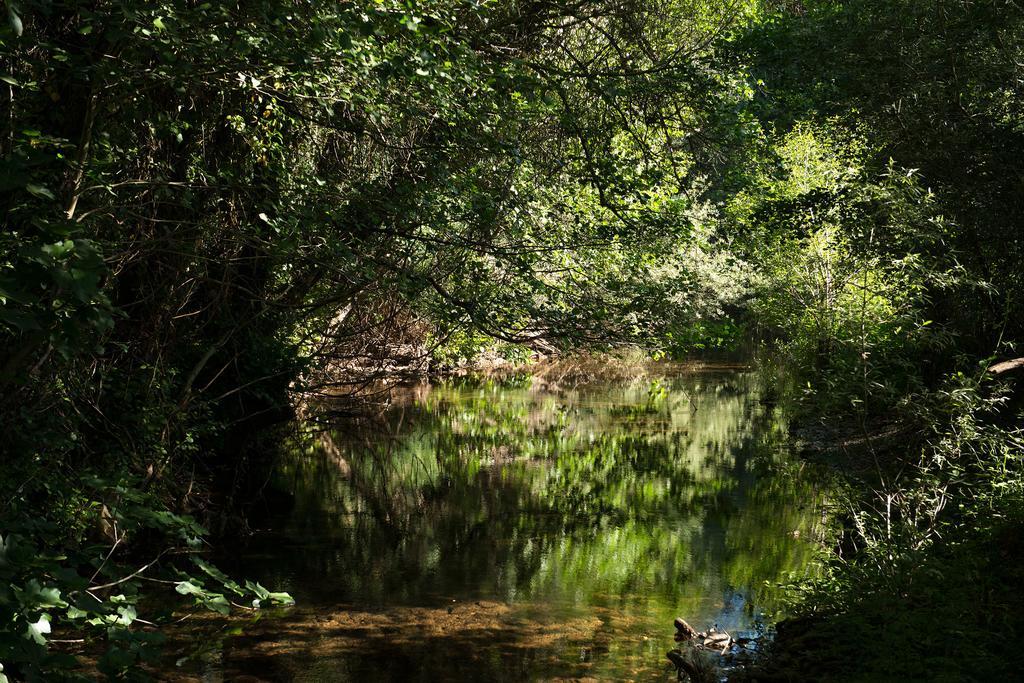 Recanto Da Ribeira Casas De Campo Monchique Zewnętrze zdjęcie